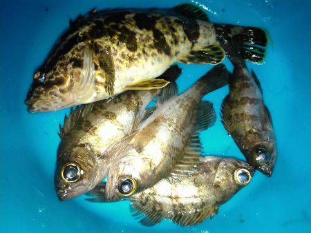 ひさびさの釣行の巻